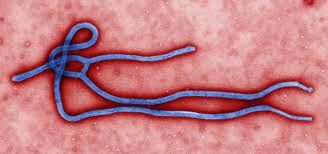 PERFORMACIDE® Listed as Ebola Disintectant