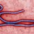 PERFORMACIDE® Listed as Ebola Disintectant