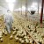 Effective Control of Avian Flu with Chlorine Dioxide