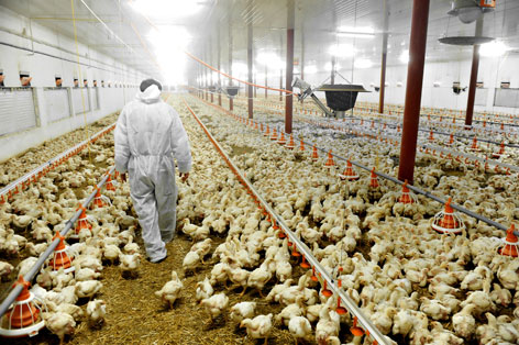 Effective Control of Avian Flu with Chlorine Dioxide