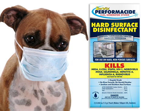 Stop The Spread of Dog Flu